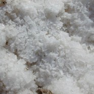 Polska żywność niechciana w Czechach