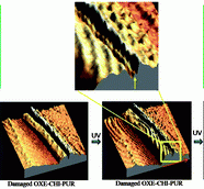 Regenerujący się plastik