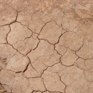 Anomalie pogodowe stają się normą