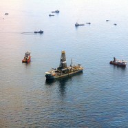 Zdeformowane zwierzęta z Zatoki Meksykańskiej