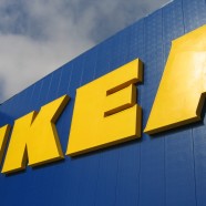 IKEA na celowniku ekologów