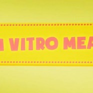 Mięso in vitro