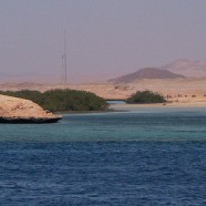 Małe biura podróży, ryzykowne wakacje