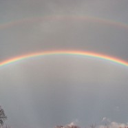 Szkocja zalegalizuje małżeństwa homoseksualne