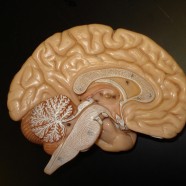 Zdrowy sen sposobem na młodość