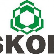 Kto zapłaci za SKOK-i?