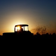 Zapaść w polskim rolnictwie