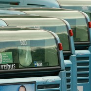 Liderzy biur podróży na plusie