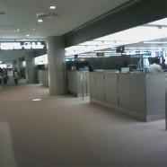 Imigranci uchronią nas przed stagnacją