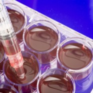 Medyczny Nobel 2012 przyznany!