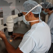 Premier obiecuje refundację in vitro