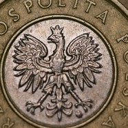 Ile państwo zabiera z twojej wypłaty?