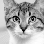 Czarno-biała fotografia wraca do mody?