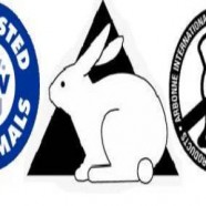 Kosmetyki testowane na zwierzętach poza UE