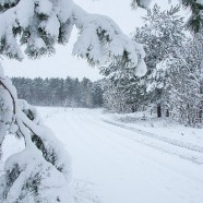 Co z tym globalnym ociepleniem?