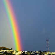 Zrównanie małżeństw homo- i heteroseksualnych w USA