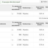 Google potwierdza: w statystykach znikną słowa kluczowe!