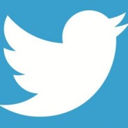 Spada dynamika wzrostu Twittera – ćwierkanie już nie modne?